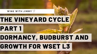 WSET Level 3 Wines  Understanding the Vineyard Cycle Part 1 [upl. by Trebma]