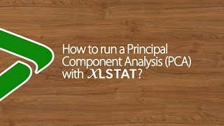 How to run a Principal Component Analysis PCA with XLSTAT [upl. by Walburga887]