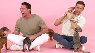 Ryan Reynolds and Hugh Jackman The Puppy Interview [upl. by Rawdin]