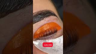 Lash lift tutorial beautiful beauty lashes lashlift shorts youtubeshorts shannonboyleart [upl. by Salbu]