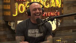 JRE MMA Show 112 with Don Frye [upl. by Letisha]