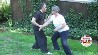 Yangstyle Taijiquan 8 Discframed Pushhands 4 5 amp 6 performed by Jim Madras amp Erica Anderson [upl. by Akirahs557]