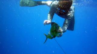 Key West spearfishing in May [upl. by Kyne]