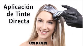 Aplicación de Tinte Directa RAUL ROA ESTILISTA [upl. by Merna]