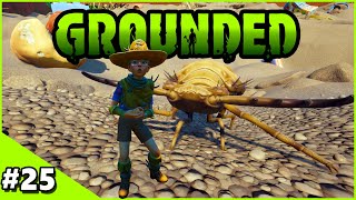 ANTLION ARMAGEDDON  Grounded Episode 25 [upl. by Litt]