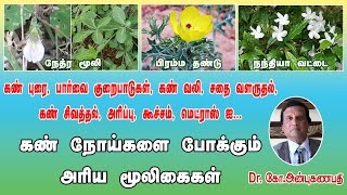 கண் நோய்களை போக்கும் அரிய மூலிகைகள்  Using herbs to treat Eye problems in Tamil Siddha Medicine [upl. by Redmund]