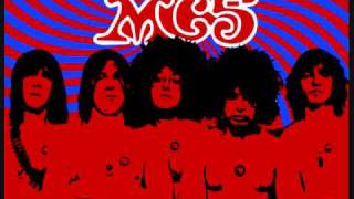 Shakin Street  MC5 [upl. by Aydiv]