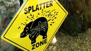 Welcome To Lucifer The Florida Hippo And His Splatter Zone BE WARNED [upl. by Nnylacissej]