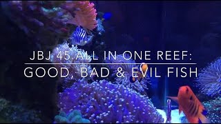 JBJ 45 All In One Reef Good Bad amp Evil Fish [upl. by Gass615]