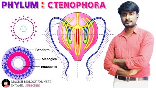 Chapter2 Kingdom Animalia  Phylum Ctenophora  Class 11  Neet Biology [upl. by Persian]