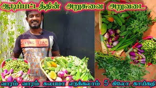 ஆடிப்பட்டம் அறுசுவை காய்கறி அறுவடை  வாரம் வாரம் 5 கிலோ காய்கறிகள்  எல்லா சுவையும் உங்கள் மாடியில் [upl. by Purity]