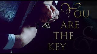 youre the key  fantastic beasts credence [upl. by Olyhs]