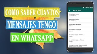 Como Saber Cuantos Mensajes Se Envian En WhatsApp 2024 [upl. by Quinn992]