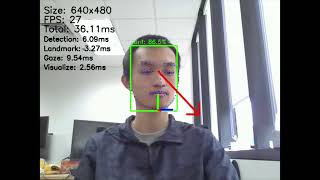 Gaze Estimation on Raspberry Pi 4 [upl. by Zantos]