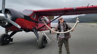 4 Days Solo Camping on Island Full of Whale Bones amp Grizzly Bears [upl. by Leagiba336]