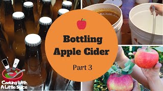 How To Make Hard Apple Cider  Part 3 Bottling Cider [upl. by Tallbott]