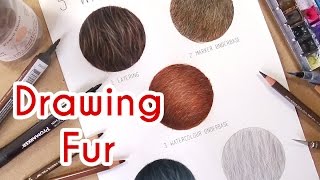 5 METHODS TO DRAW REALISTIC FUR Coloured Pencil Drawing Tutorial Episode 4 [upl. by Ramedlab]