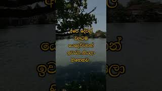 Hmmm🙂 motivation viralvideo viralshorts quotes srilanka [upl. by Sardella]