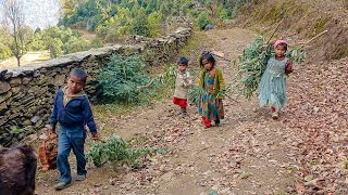 Simple Nepali Rural Village in Mountain  Life With Beautiful Nature  Primitive Lifestyle [upl. by Jason20]