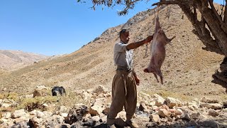 Iran nomadic life Jahangirs journey to pastures and a butchery to prepare meat in the mountains [upl. by Shurlock]