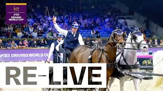 RELIVE  Competition 2  FEI Driving World Cup™ 20232024 Mechelen [upl. by Noslien828]