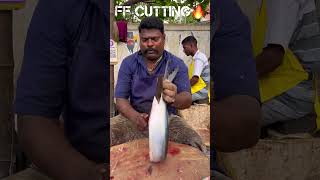 KASIMEDU 🔥 SPEED SELVAM MUL VALAI FISH CUTTING VIDEO kasimeduselvam fishcutting youtubeshorts [upl. by Yajiv]