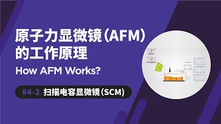 扫描电容显微镜  原子力显微镜如何运作  SCM  How AFM Works [upl. by Akinom]