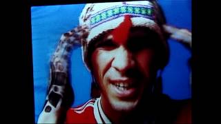 Manu Chao – Bongo Bong  Je ne taime plus Official Music Video [upl. by Elyagiba]