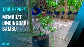 Membuat dinding dari bambu  tahu geprekkubis goreng  masakan desa [upl. by Roseline870]