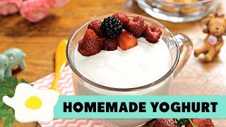 Resep Homemade Yoghurt [upl. by Anton560]