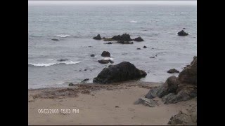 Shark Fishing Cayucos [upl. by Dnalyram61]