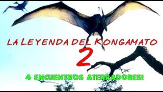 KONGAMATO Parte 2 Cuatro ESCALOFRIANTES encuentros con Pterodactilos Criptozoologia [upl. by Arleyne119]