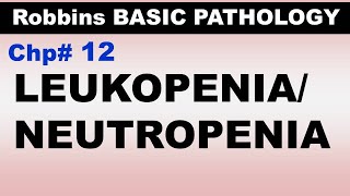 Ch12  Leukopenia  Neutropenia  Agranulocytosis  Blood Pathology  Dr Asif Lectures [upl. by Fisk475]