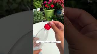 Don’t Overwater Try This Watering Tip for Healthy Plants 🌿💧 [upl. by Lemmy]