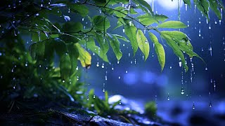 Clear your thoughts and Sleep Comfortably with Soothing Rain Sounds pouring Down  White Noise ASMR [upl. by Nyliret191]