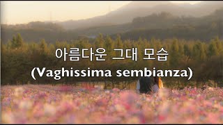 이태리가곡 Vaghissima sembianza 10번 듣기 [upl. by Zaremski]