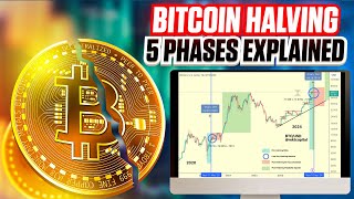 5 Phases of the Bitcoin Halving  Ultimate Guide For 2024 [upl. by Willcox]