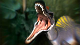 Hammond Collection Stop Motion Irritator [upl. by Aremus380]