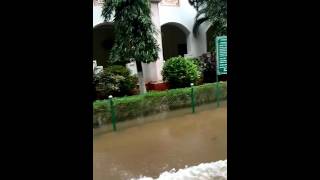 panimalar engineering college in flood [upl. by Eugnimod]