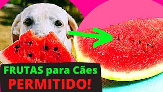 CACHORRO PODE COMER MELANCIA  Cautela ao dar Frutas para Cachorro [upl. by Ilat]