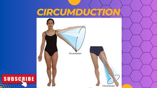 Circumduction anatomy [upl. by Etnoed]