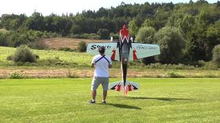 SBACH 342 2600mm PILOT  DLA 112 Beautiful 3D Flight By Roberto Ceccacci [upl. by Enialahs]