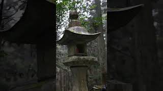 ⛩️ Shrine that bring good luck to marraige  Kamishikimi Kumanoimasu Shrine shorts cinematic [upl. by Mayap416]