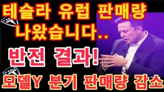 테슬라 유럽 판매량 나왔습니다 반전 결과 모델Y 올해 분기 판매량 감소  Tesla 유럽 판매 집중 분석  테슬라 2023 YTD 유럽 판매량 테슬라 4분기 진행 상황 [upl. by Nahsez202]