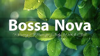 Chill Bossa Nova Music for Relaxation amp Focus  Best Smooth Bossa Nova Playlist 2 [upl. by Julita]