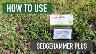 How to Use Sedgehammer Plus Get Rid of Nutsedges Fast [upl. by Behre]