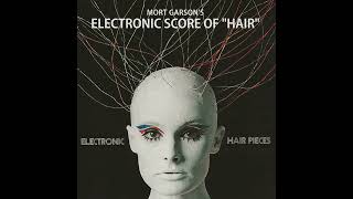 Mort Garson  Aquarius Electronic Hair Pieces 1969 [upl. by Ayyidas]