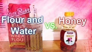 Your Gerbils Safety FlourampWater vs Honey [upl. by Kilmarx577]