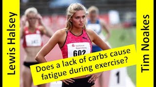 Does a lack of carbs cause fatigue during exercise  Tim Noakes  Ep 22 [upl. by Aziul829]