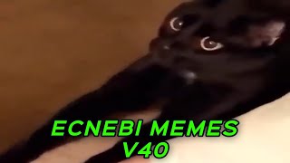 ECNEBI MEMES V40 [upl. by Elleniad572]